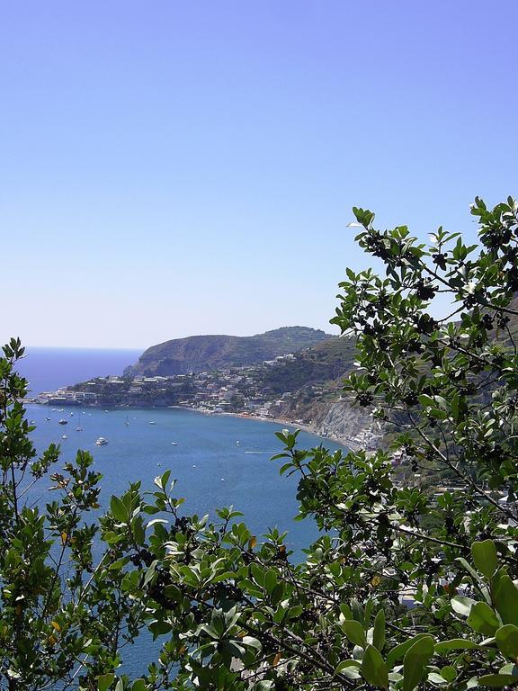 San Giovanni Terme Ischia